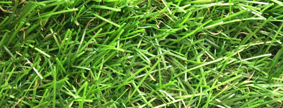 Artificial Grass