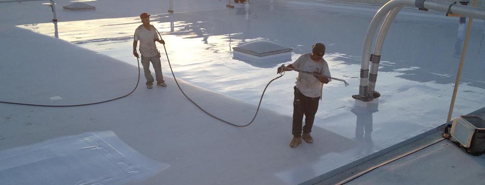 Roof Coating